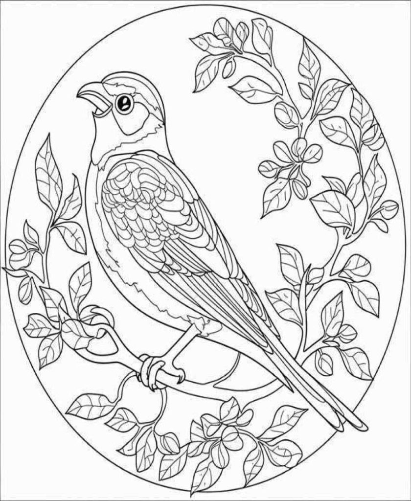 Birds Coloring Pages Kids 216