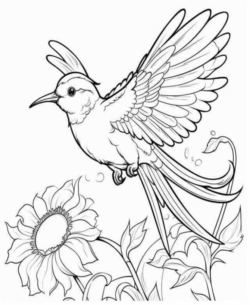 Birds Coloring Pages Kids 241