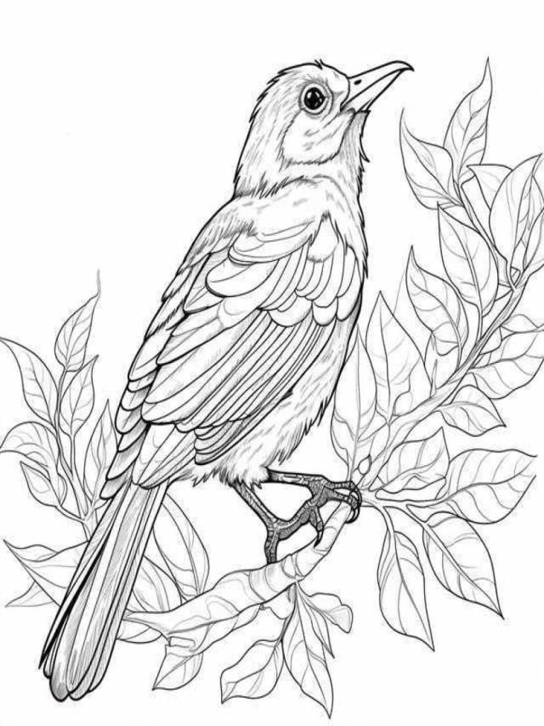 Birds Coloring Pages Kids 64