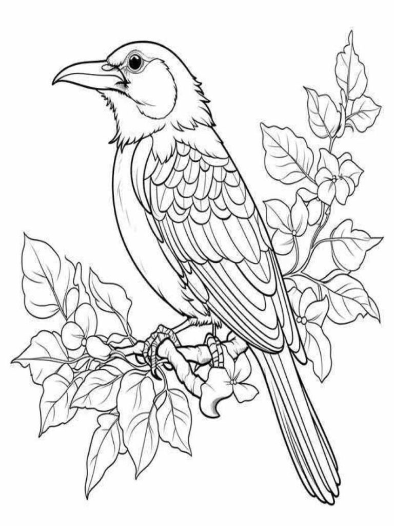 Birds Coloring Pages Kids 65