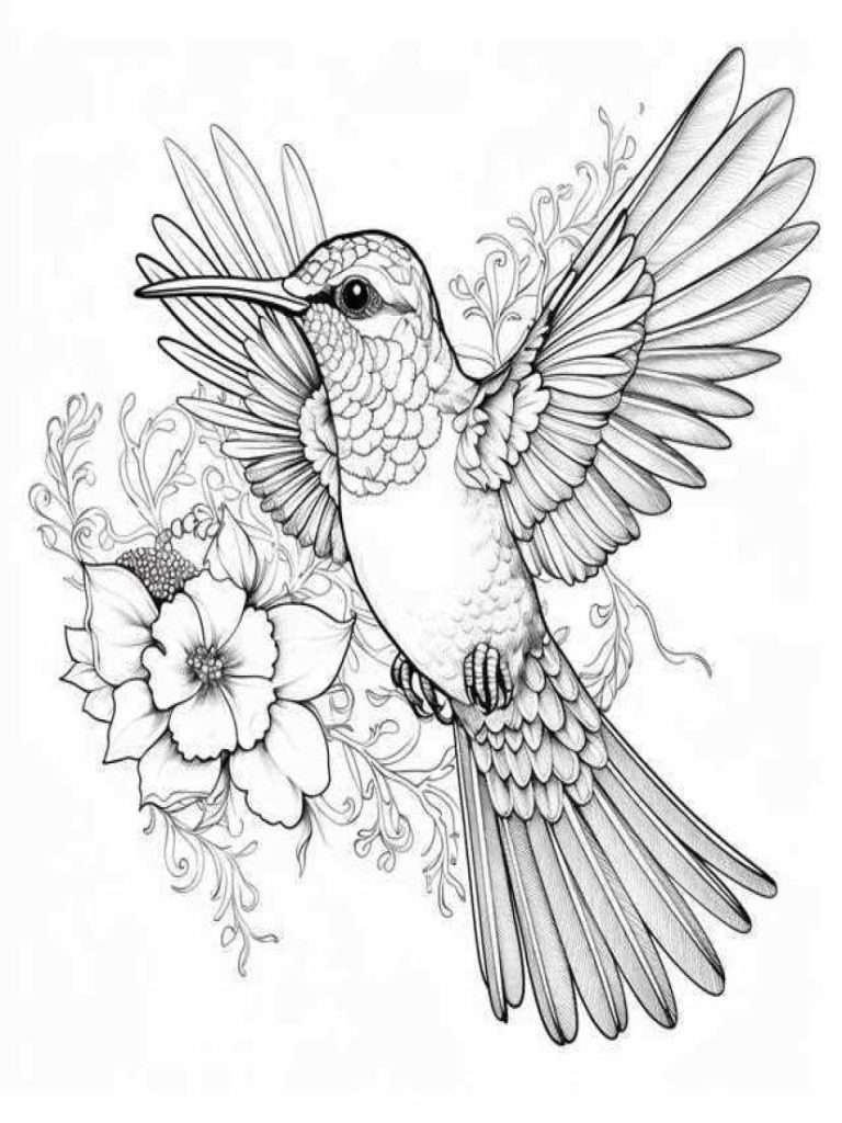 Birds Coloring Pages Kids 67