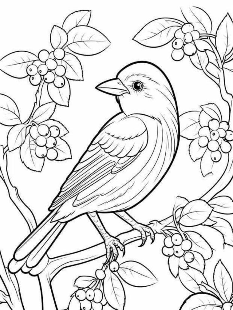 Birds Coloring Pages Kids 88